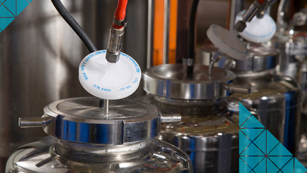 Principles+of+Fermentation+Processes.jpg