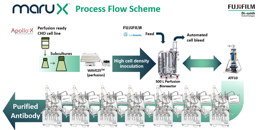 FUJIFILM Diosynth Biotechnologies’ MaruXTM platform for the continuous manufacturing of antibody and other biopharmaceuticals from mammalian cell culture