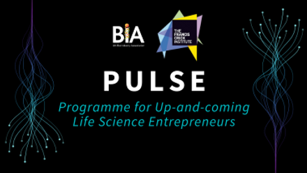 PULSE web listing image.png