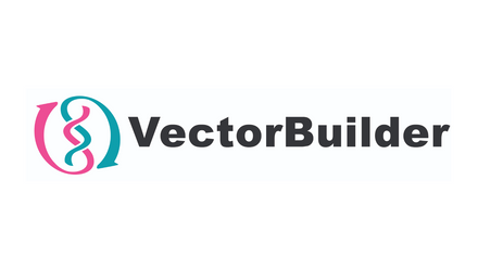 vectorbuilder.png