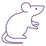 Mouse icon