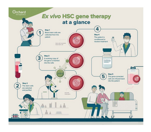 Orchard Therapeutics infographic.png