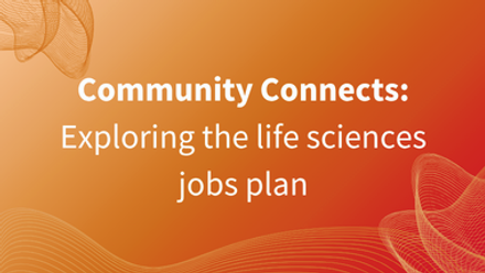 Skills (1) 1 (1).png