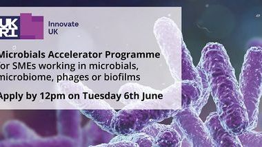 Innovate-UK-Microbials-Accelerator-Programme-LAUNCH-01-LIWEB.jpg 1