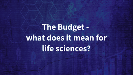 BIA Webinar - The Budget.png