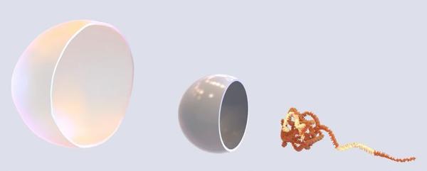 bit.bio meatable image.JPG