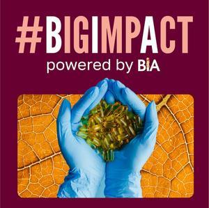 #BIGIMPACT campaign