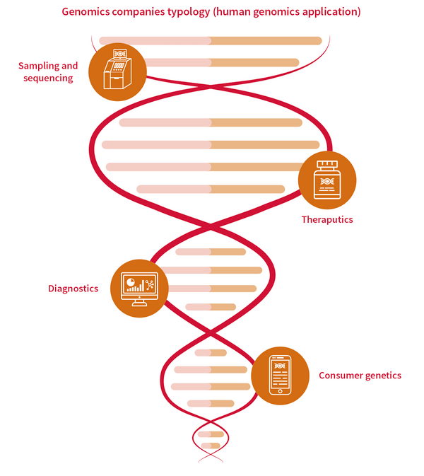 Genomics companies typology .png