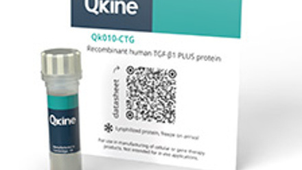 Cell+therapy+TGF-b1.jpg 4