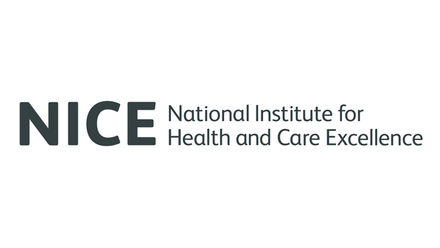 nice-logo.png