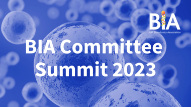 BIA Committee Summit banner.png
