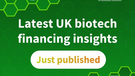 BIA Finance report 2026 q2