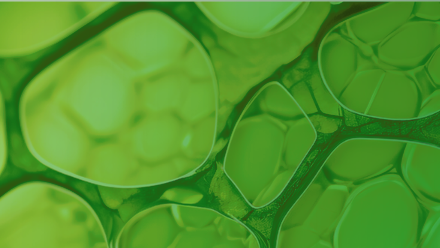 BioSolutions website banner option 4.png