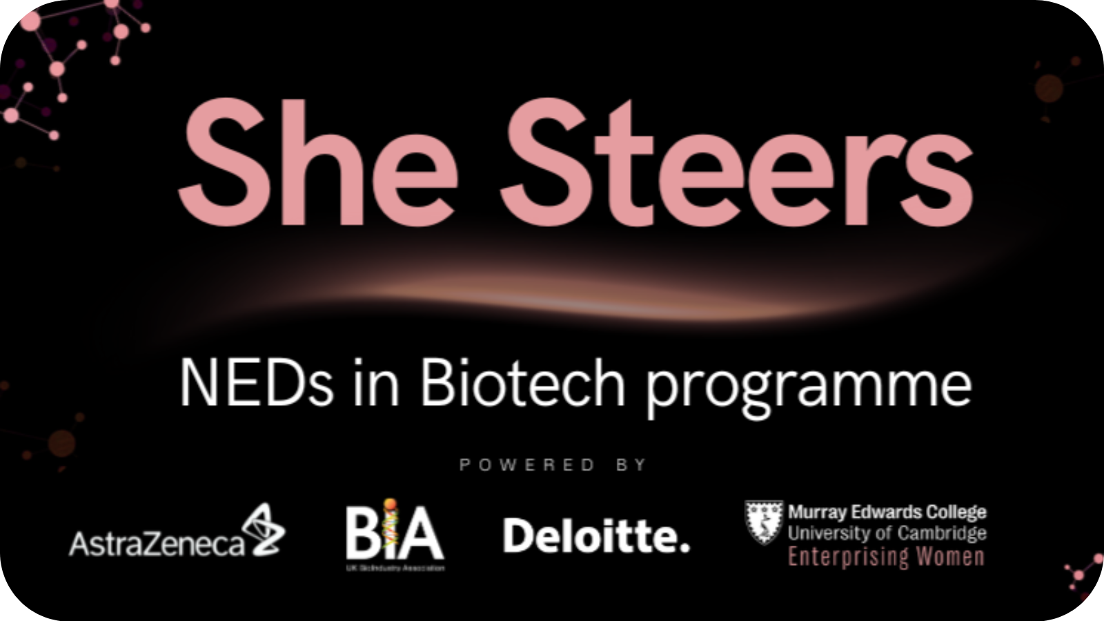 She Steers: NEDs in Biotech programme powered by AstraZeneca, BIA, Deloitte and Murray Edwards College