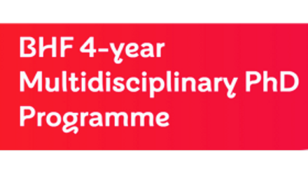 BHF+phd+programme.png