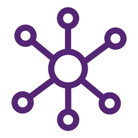 Network icon