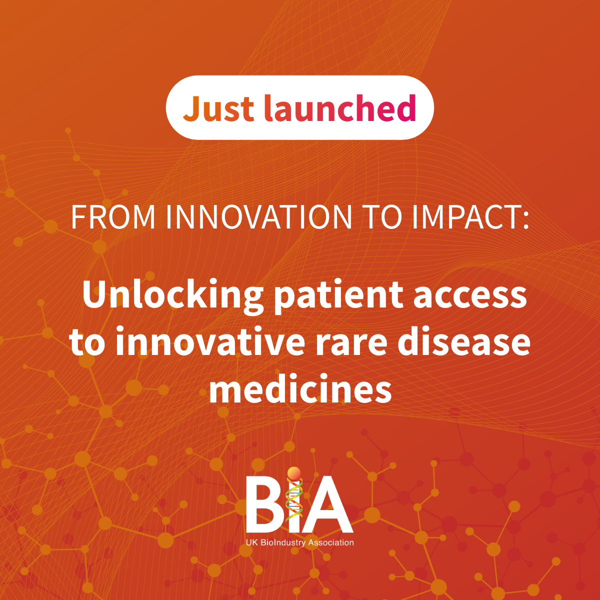 RDIG report 2025 - launch graphic.png