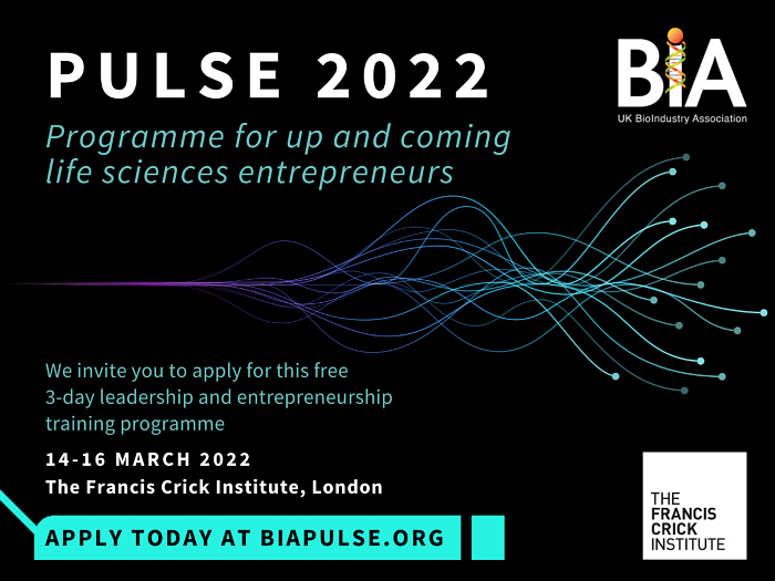PULSE 2022: leadership and entrepreneurship training programme