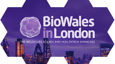 BioWalesNew_Logo-copy (2).png 1