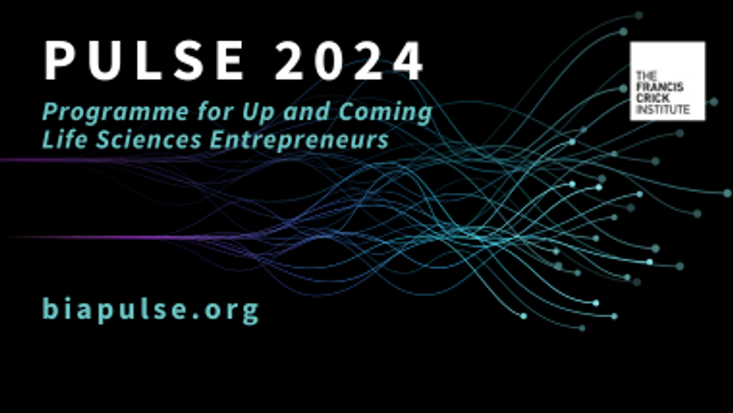 PULSE 2023: leadership and entrepreneurship training programme