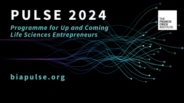 PULSE 2024 -  event listing.png