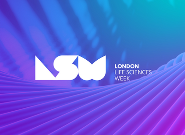 LLSW website banner.png