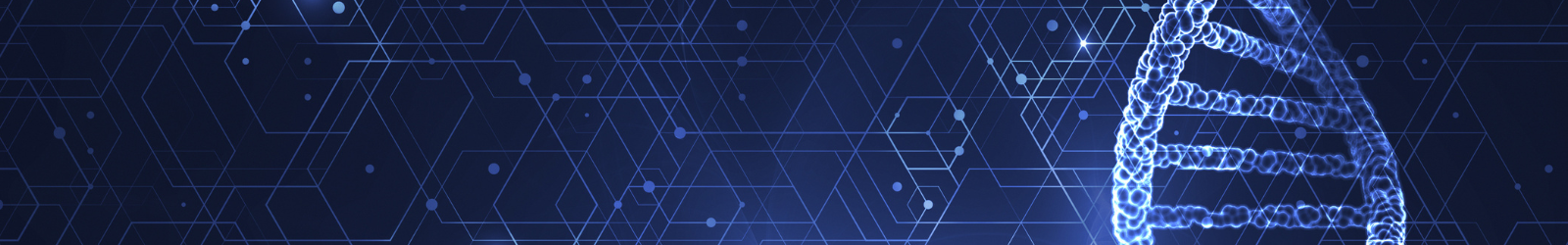 BIA website header banner 2023 2.png