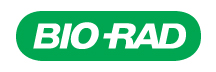 Color logo jpg (1).jpg