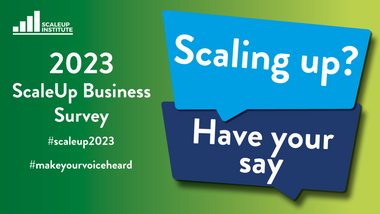 Scale up - survey-2023.png 1
