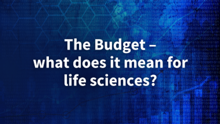 the budget webinar.png