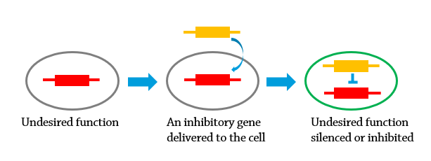 Gene suppression diagram.png