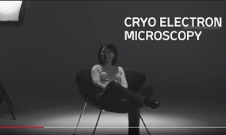 Making the invisible visible - Cryo-electron microscopy