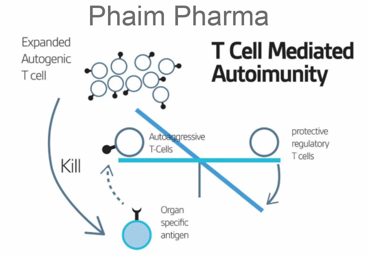 T cell mediated immunity.JPG