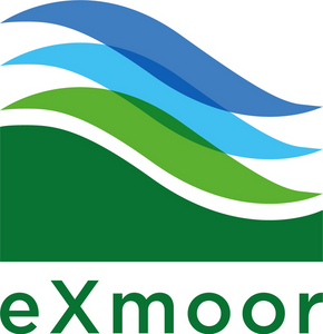logo.png 5