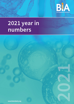 Year in Numbers Brochure