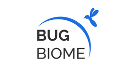 Bug biome.png