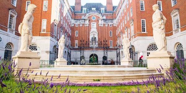 BMA+House+-+Courtyard+-+Summer.jpg